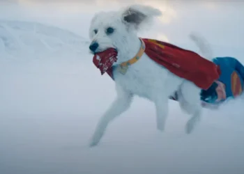 Superman e Krypto Inspiram Adoção de Cachorros: Buscas por ‘Adotar um Cão’ Disparam 513%