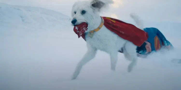 Superman e Krypto Inspiram Adoção de Cachorros: Buscas por ‘Adotar um Cão’ Disparam 513%