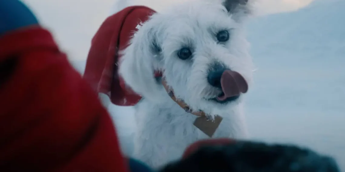 Ozu: O Cão Real que Inspirou Krypto, o Supercão do Novo Filme do Superman