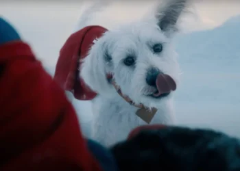 Ozu: O Cão Real que Inspirou Krypto, o Supercão do Novo Filme do Superman