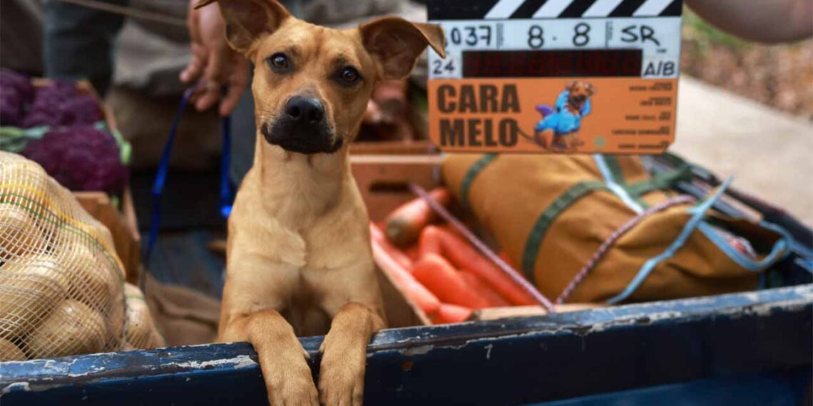 Caramelo: Filme Brasileiro no Top 3 Global da Netflix e Sucesso em 81 Países