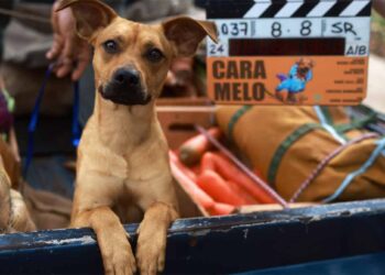 Caramelo: Filme Brasileiro no Top 3 Global da Netflix e Sucesso em 81 Países